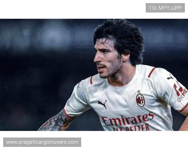 纽卡或卖球星托纳利受关注